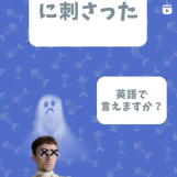 講師の毎日投稿の様子1