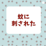 講師の毎日投稿の様子1
